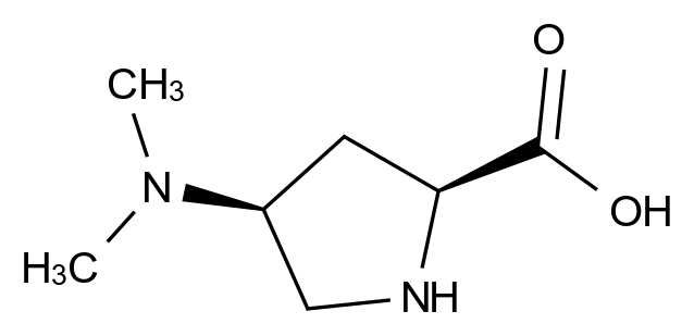 1001354-15-9_(2S,4S)-4-(dimethylamino)pyrrolidine-2-carboxylic acid标准品