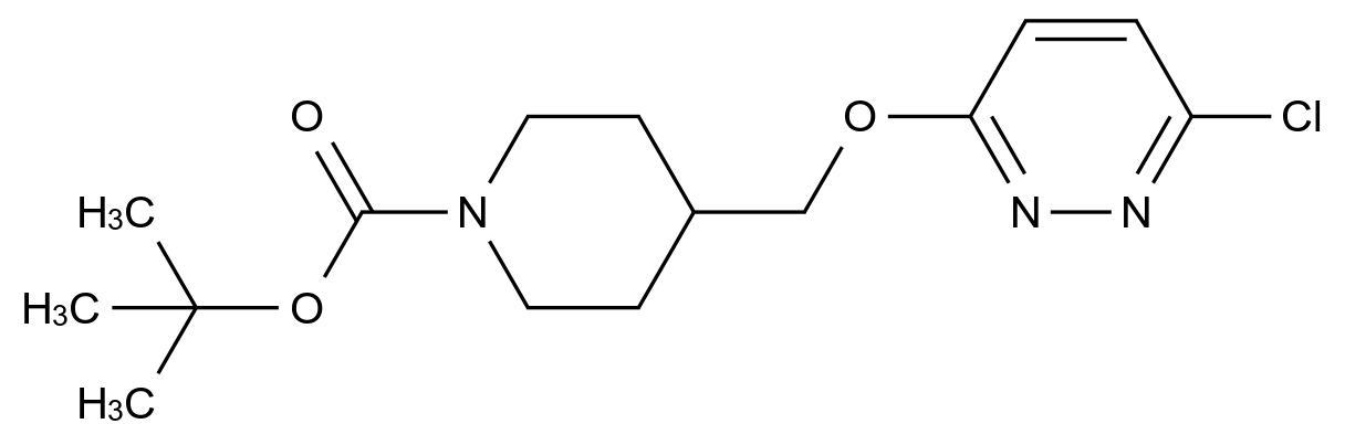 1010072-64-6_t-butyl 4-((6-chloropyridazine-3-yloxy)methyl)piperidin-1-carboxylate标准品